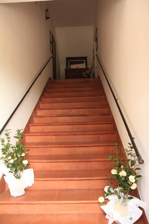 Hotel La Quiete Assisi Ngoại thất bức ảnh